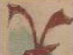 Tamga Characters Transcription